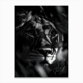 Portrait Of A Lion Canvas Print