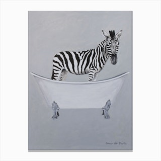 Zebra In Bathtub Canvas Print