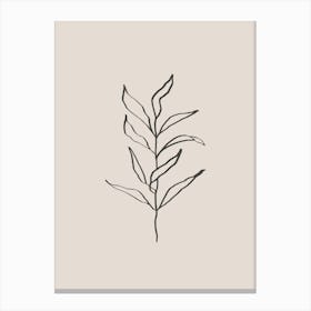 Plant Line Art No 394c Canvas Print