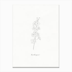 Larkspur Line Drawing Canvas Print