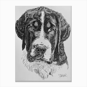 Greater Swiss Mountain Dog Line Sketch 2 Canvas Print