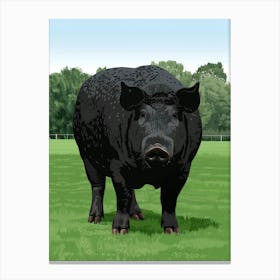Black Pig Canvas Print