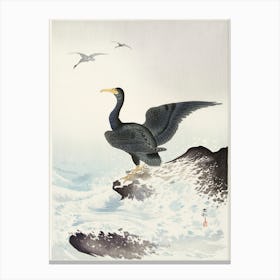 Red Mask Cormorant On Rock (1900 1936), Ohara Koson Canvas Print