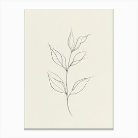 Line Drawing Of A Leaf 2 Canvas Print