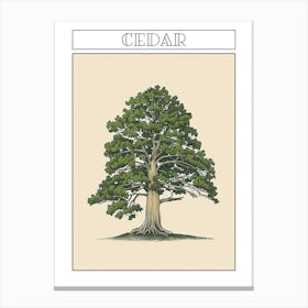 Cedar Tree Minimalistic Drawing 3 Poster Canvas Print