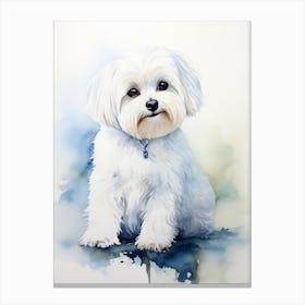 Water colour Maltese Dog Canvas Print