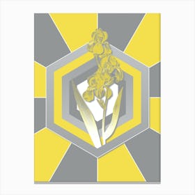 Vintage Dalmatian Iris Botanical Geometric Art in Yellow and Gray n.277 Canvas Print
