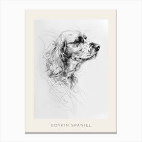 Boykin Spaniel Dog Line Art 2 Poster Canvas Print