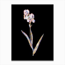 Stained Glass Tall Bearded Iris Mosaic Botanical Illustration on Black Canvas Print