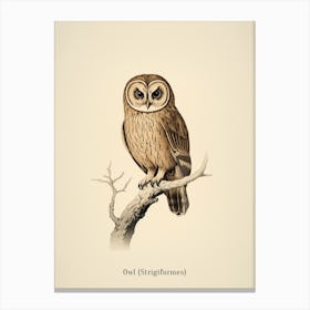 Vintage Owl Poster Canvas Print