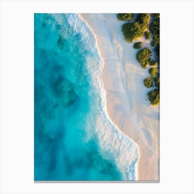 Aerial View Of A Tropical Beach 8 Canvas Print