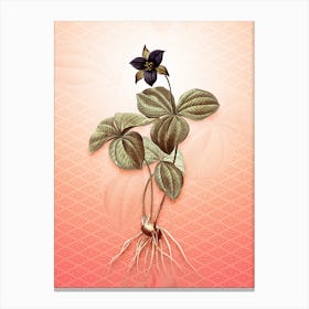 Trillium Rhomboideum Vintage Botanical in Peach Fuzz Hishi Diamond Pattern n.0146 Canvas Print