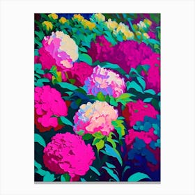 Mass Plantings Of Peonies Colourful Colourful Painting Canvas Print