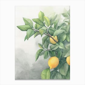 Lemon Tree Atmospheric Watercolour Painting 1 Canvas Print