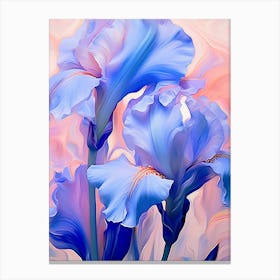 Blue And Pink Iris Canvas Print
