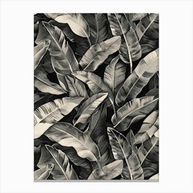 Black And White Banana Leaves 4 Canvas Print