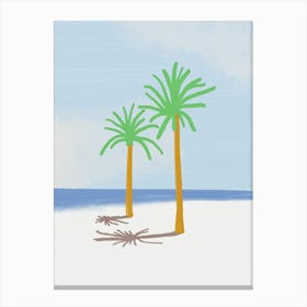 Palm Trees shadow On The Beach Canvas Print