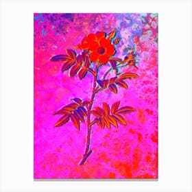 Rosa Redutea Glauca Botanical in Acid Neon Pink Green and Blue n.0283 Canvas Print