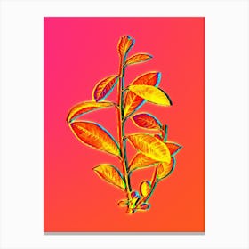 Neon Grey Willow Botanical in Hot Pink and Electric Blue n.0046 Canvas Print