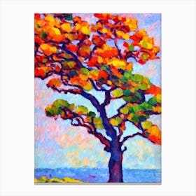 Monterey Cypress tree Abstract Block Colour Canvas Print