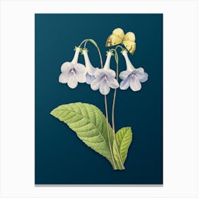 Vintage Canterbury Bells Botanical Art on Teal Blue n.0114 Canvas Print