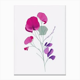 Sweet Pea Floral Minimal Line Drawing 1 Flower Canvas Print