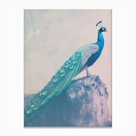 Vintage Turquoise Peacock On A Rock Photography Style 4 Canvas Print