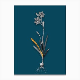 Vintage Coppertips Black and White Gold Leaf Floral Art on Teal Blue n.0117 Canvas Print