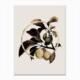 Gold Ring Ripe Plums on a Branch Glitter Botanical Illustration n.0314 Canvas Print