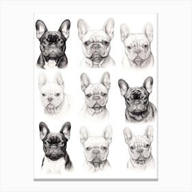 French Bulldog Dog, Line Drawing Pattern Canvas Print