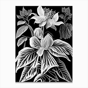 Mayapple Wildflower Linocut Canvas Print
