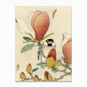 Sparrow On Blooming Magnolia Branch (1900 1930), Ohara Koson Canvas Print