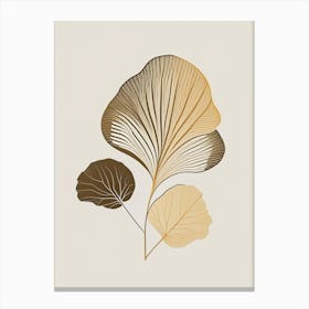 Ginkgo Spices And Herbs Retro Minimal 5 Canvas Print