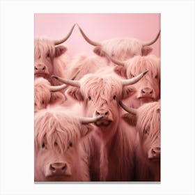 Heard Of Highland Cows Pink Realistic Photography 2 Canvas Print