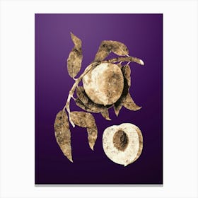 Gold Botanical Peach on Royal Purple n.0837 Canvas Print