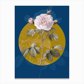 Vintage Botanical Vintage Rosa Alba on Circle Yellow on Blue Canvas Print