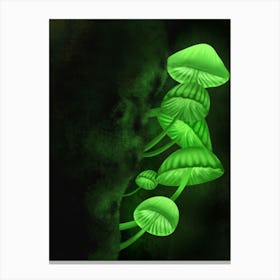 The green light Canvas Print