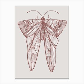 Moth Drawing Canvas Print