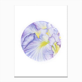 Iris Amethyst Flame Canvas Print