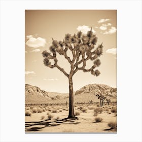  Photograph Of A Joshua Tree In Rocky Mountains 4 Canvas Print