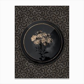 Shadowy Vintage Plumbago Caerulea Botanical in Black and Gold n.0001 Canvas Print