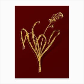 Vintage Dutch Hyacinth Botanical in Gold on Red Canvas Print