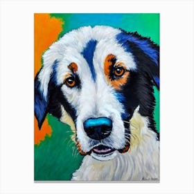 Border Collie Fauvist Style dog Canvas Print