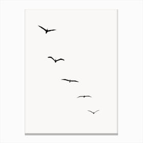 Five Birds Canvas Print