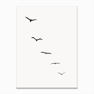 Five Birds Canvas Print