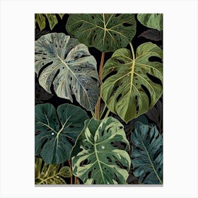 Monstera Leaves 2 Canvas Print