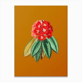Vintage Rhododendron Rollissonii Flower Botanical on Sunset Orange n.0318 Canvas Print
