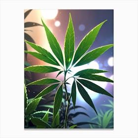 Marijuana Plant Canvas Print