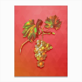 Vintage Grape Vine Botanical Art on Fiery Red n.0204 Canvas Print