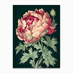 Single Stem Peony Black Vintage Botanical Canvas Print